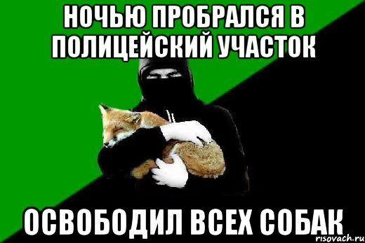ночью пробрался в полицейский участок освободил всех собак
