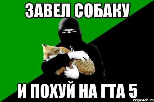 завел собаку и похуй на гта 5