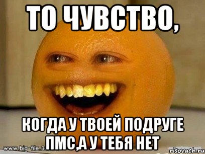 то чувство, когда у твоей подруге ПМС,а у тебя нет, Мем Надоедливый апельсин