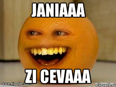 Janiaaa Zi CEVAAA, Мем Надоедливый апельсин