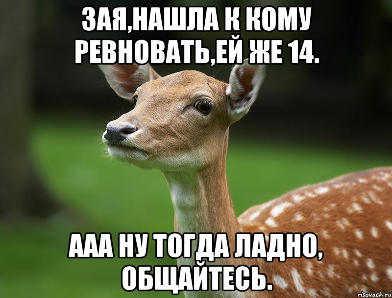 Зая,нашла к кому ревновать,ей же 14. Ааа ну тогда ладно, общайтесь.