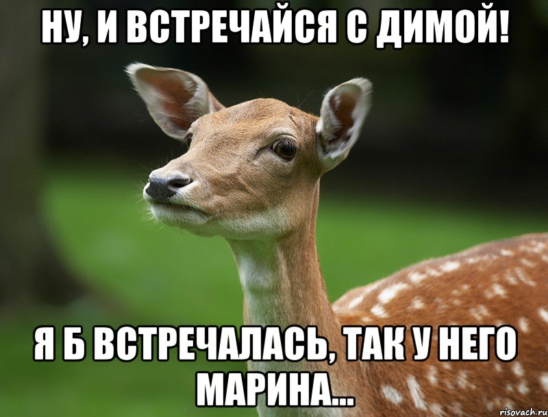 ну, и встречайся с Димой! я б встречалась, так у него Марина...