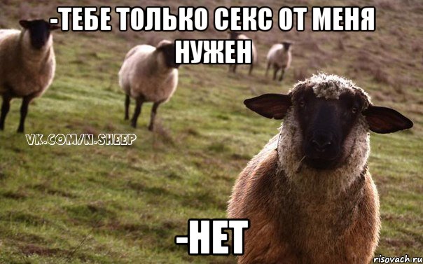 -тебе только секс от меня нужен -нет, Мем  Наивная Овца