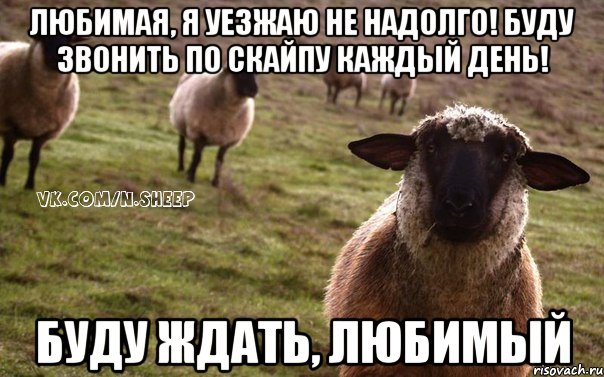 любимая, я уезжаю не надолго! буду звонить по скайпу каждый день! буду ждать, любимый, Мем  Наивная Овца