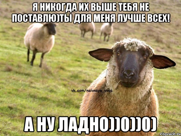 Я никогда их выше тебя не поставлю)Ты для меня лучше всех! А ну ладно))0))0), Мем  Наивная Овца