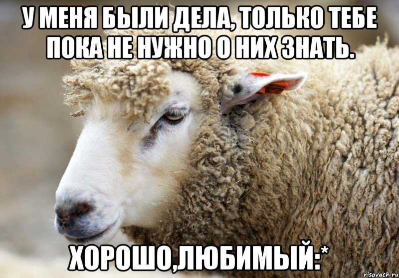 У меня были дела, только тебе пока не нужно о них знать. Хорошо,любимый:*