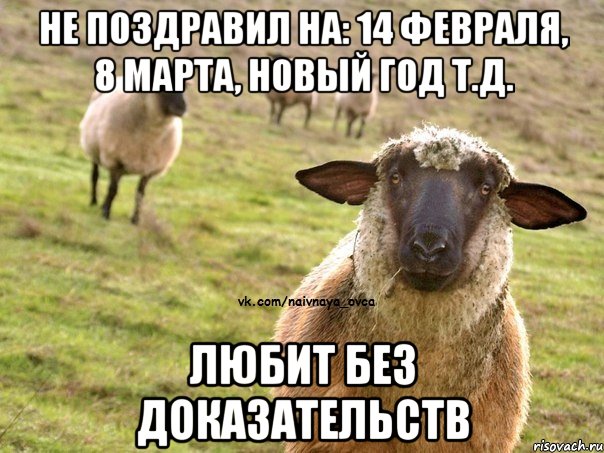 не поздравил на: 14 февраля, 8 марта, Новый год т.д. любит без доказательств, Мем  Наивная Овца