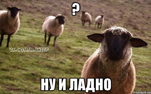 ? ну и ладно, Мем  Наивная Овца