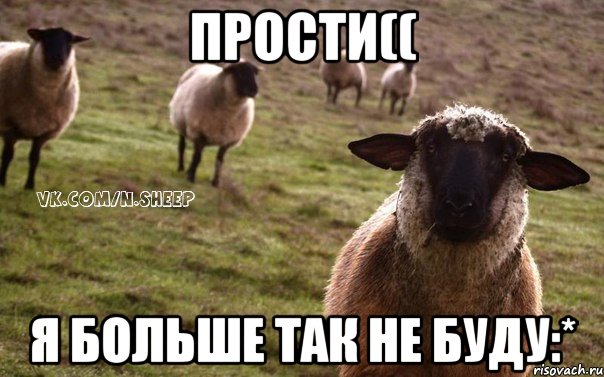 Прости(( Я больше так не буду:*, Мем  Наивная Овца