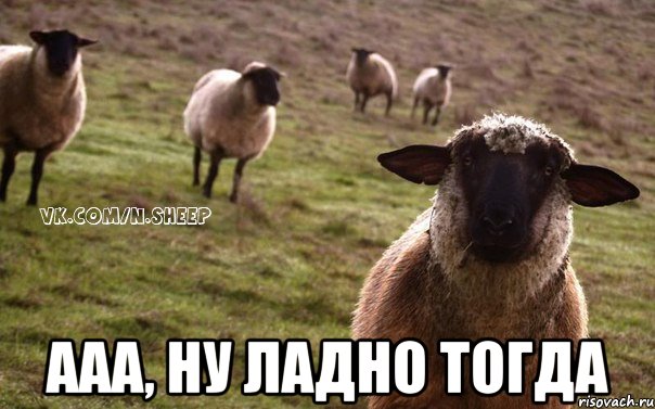  ААА, НУ ЛАДНО ТОГДА, Мем  Наивная Овца