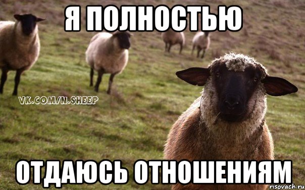 я полностью отдаюсь отношениям, Мем  Наивная Овца
