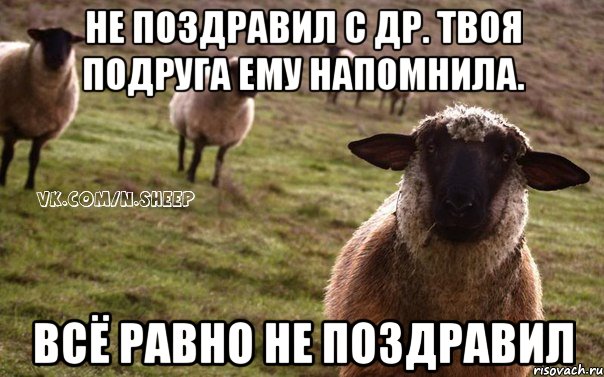 Не поздравил с др. Твоя подруга ему напомнила. Всё равно не поздравил, Мем  Наивная Овца