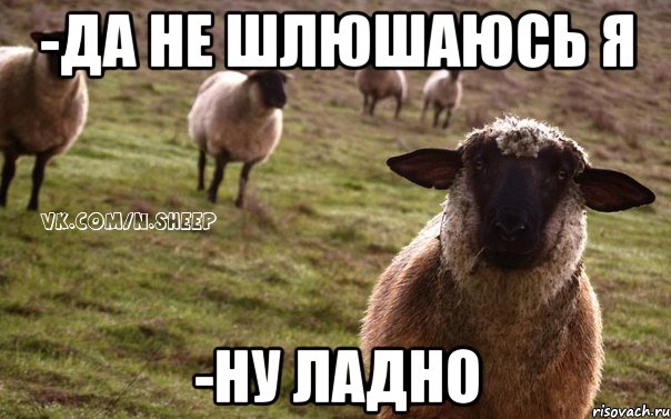 -да не шлюшаюсь я -ну ладно, Мем  Наивная Овца