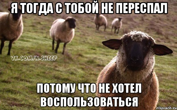 Я тогда с тобой не переспал Потому что не хотел воспользоваться, Мем  Наивная Овца
