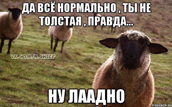 Да всё нормально , ты не толстая , правда... НУ лаадно, Мем  Наивная Овца