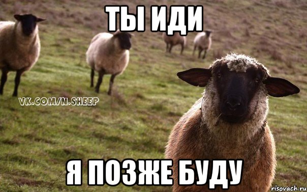ты иди я позже буду, Мем  Наивная Овца