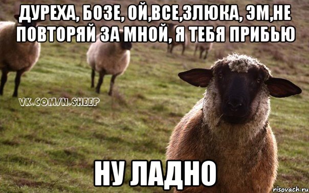 Дуреха, бозе, ой,все,злюка, эм,не повторяй за мной, я тебя прибью Ну ладно, Мем  Наивная Овца