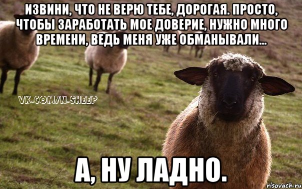 Извини, что не верю тебе, дорогая. Просто, чтобы заработать мое доверие, нужно много времени, ведь меня уже обманывали... А, ну ладно., Мем  Наивная Овца