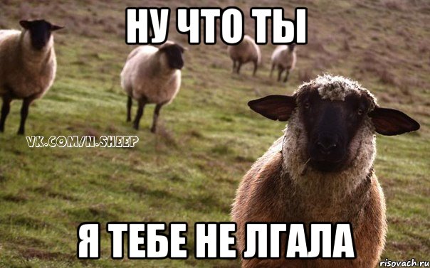 ну что ты я тебе не лгала, Мем  Наивная Овца