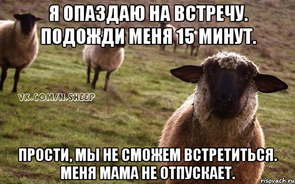 Я опаздаю на встречу. Подожди меня 15 минут. Прости, мы не сможем встретиться. Меня мама не отпускает., Мем  Наивная Овца