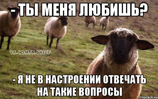 - ты меня любишь? - я не в настроении отвечать на такие вопросы, Мем  Наивная Овца