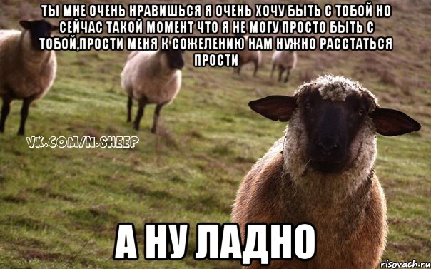 ты мне очень нравишься я очень хочу быть с тобой но сейчас такой момент что я не могу просто быть с тобой,прости меня к сожелению нам нужно расстаться прости А ну ладно, Мем  Наивная Овца