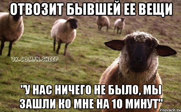 отвозит бывшей ее вещи "у нас ничего не было, мы зашли ко мне на 10 минут", Мем  Наивная Овца