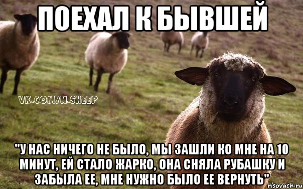 поехал к бывшей "у нас ничего не было, мы зашли ко мне на 10 минут, ей стало жарко, она сняла рубашку и забыла ее, мне нужно было ее вернуть", Мем  Наивная Овца