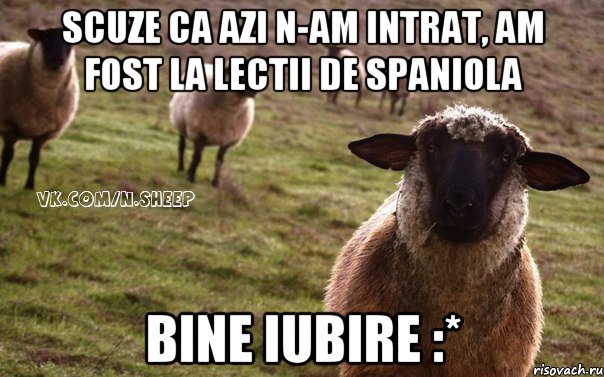 SCUZE CA AZI N-AM INTRAT, AM FOST LA LECTII DE SPANIOLA BINE IUBIRE :*, Мем  Наивная Овца