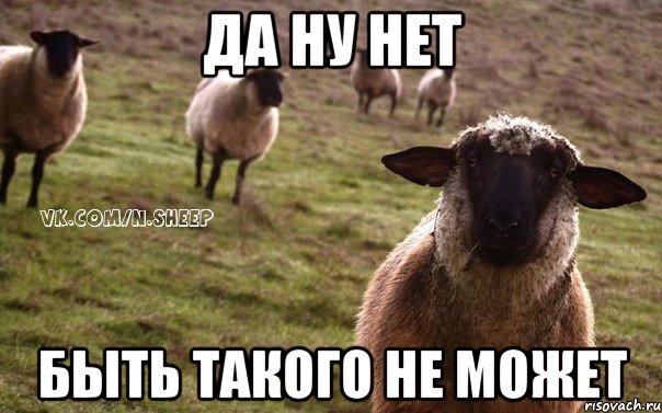 ДА НУ НЕТ БЫТЬ ТАКОГО НЕ МОЖЕТ, Мем  Наивная Овца