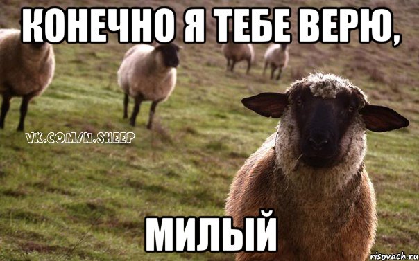 конечно я тебе верю, милый, Мем  Наивная Овца