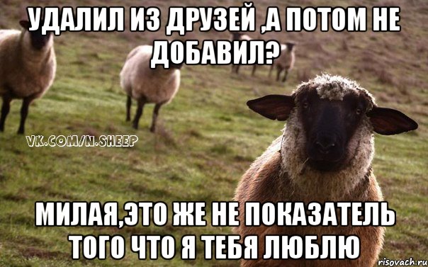 удалил из друзей ,а потом не добавил? милая,это же не показатель того что я тебя люблю, Мем  Наивная Овца