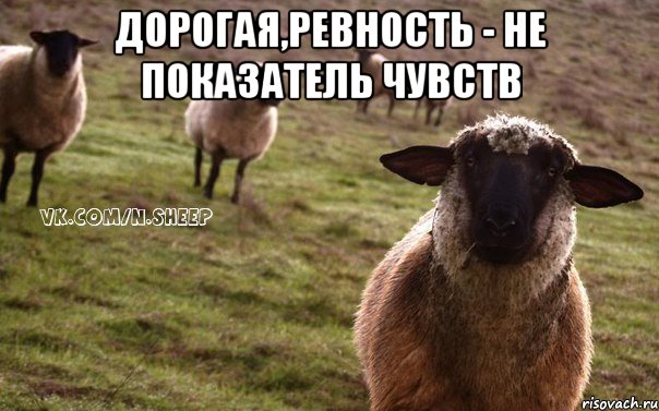 Дорогая,ревность - не показатель чувств , Мем  Наивная Овца