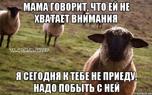 Мама говорит, что ей не хватает внимания Я сегодня к тебе не приеду, надо побыть с ней, Мем  Наивная Овца