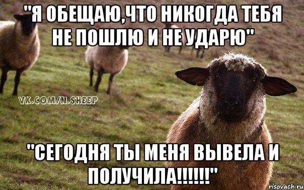 "я обещаю,что никогда тебя не пошлю и не ударю" "сегодня ты меня вывела и получила!!!!!!", Мем  Наивная Овца