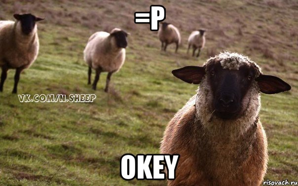 =p Okey, Мем  Наивная Овца