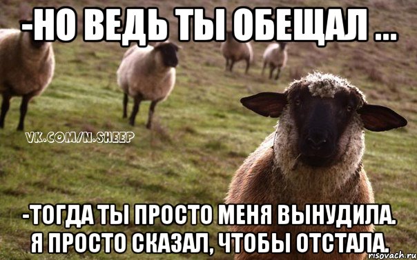 -Но ведь ты обещал ... -Тогда ты просто меня вынудила. Я просто сказал, чтобы отстала., Мем  Наивная Овца