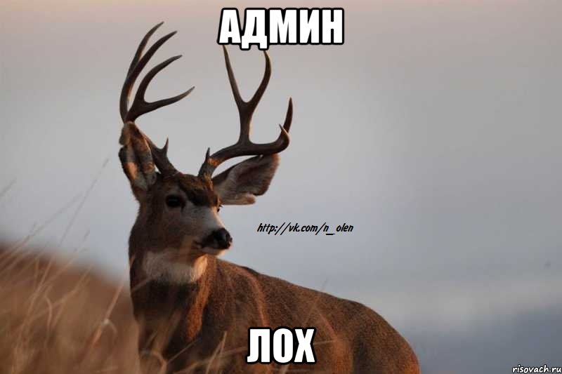 админ лох