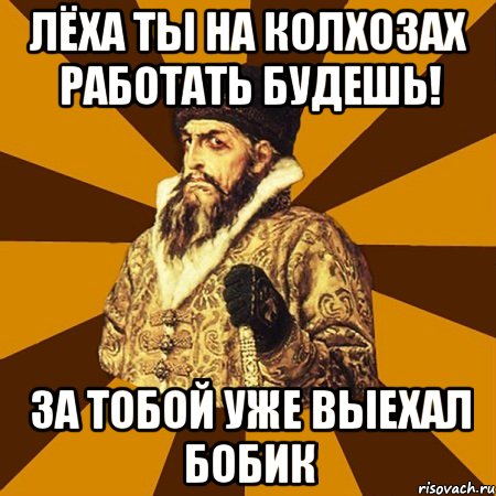 Лёха ты на колхозах работать будешь! За тобой уже выехал бобик, Мем Не царское это дело