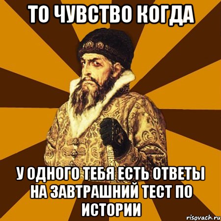 то чувство когда у одного тебя есть ответы на завтрашний тест по истории, Мем Не царское это дело