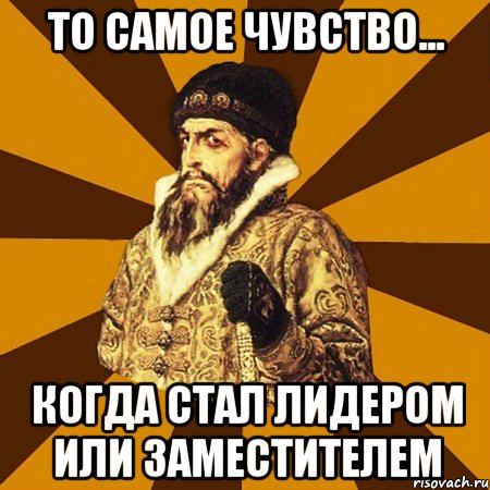 То самое чувство... Когда стал лидером или заместителем, Мем Не царское это дело