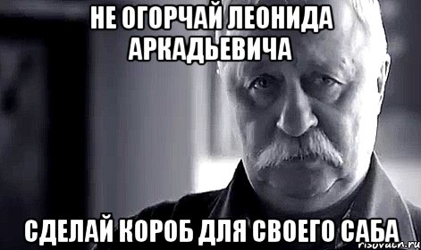 Не огорчай Леонида Аркадьевича сделай короб для своего саба, Мем Не огорчай Леонида Аркадьевича