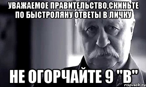 Уважаемое правительство,скиньте по быстроляну ответы в личку не огорчайте 9 "В", Мем Не огорчай Леонида Аркадьевича