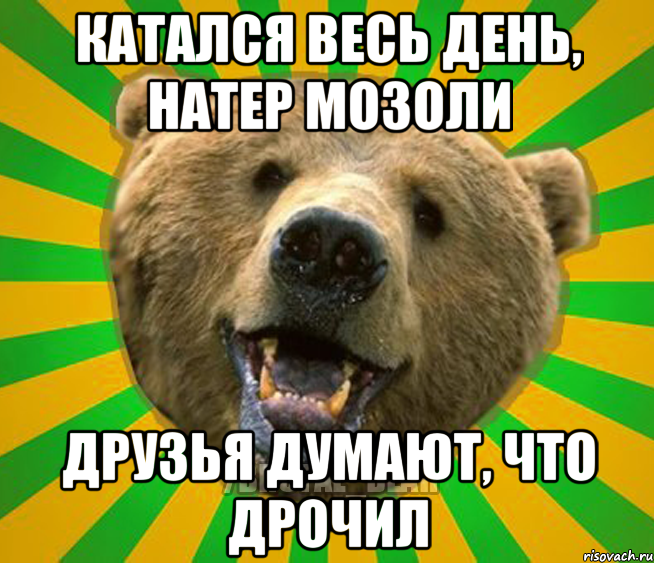 Катался весь день, натер мозоли Друзья думают, что дрочил, Мем Нелепый медведь