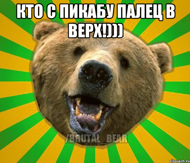 Кто с пикабу палец в верх!))) , Мем Нелепый медведь