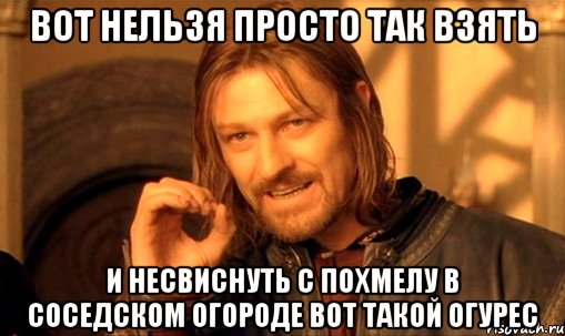 вот нельзя просто так взять и несвиснуть с похмелу в соседском огороде вот такой огурес, Мем Нельзя просто так взять и (Боромир мем)