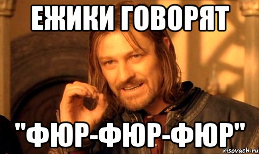 Ежики говорят "фюр-фюр-фюр", Мем Нельзя просто так взять и (Боромир мем)