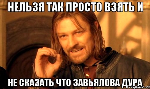 нельзя так просто взять и не сказать что Завьялова дура, Мем Нельзя просто так взять и (Боромир мем)