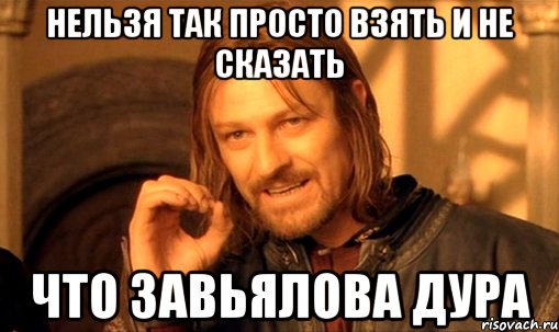 нельзя так просто взять и не сказать что Завьялова дура, Мем Нельзя просто так взять и (Боромир мем)