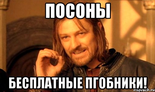 посоны бесплатные пгобники!, Мем Нельзя просто так взять и (Боромир мем)